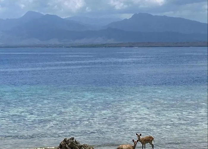 Herberg Tegal Sari, Pemuteran- North Bali Pemuteran