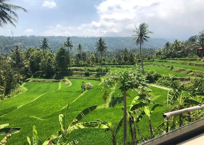 Mini-hôtel Tegal Sari, Pemuteran- North Bali Pemuteran