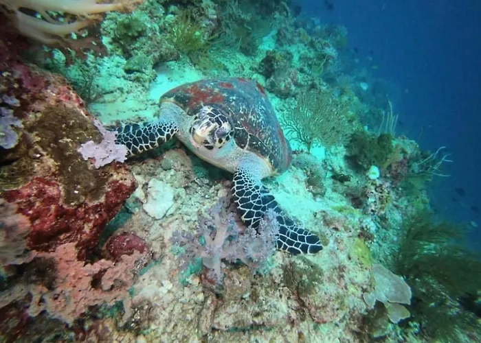 Herberg Tegal Sari, Pemuteran- North Bali Pemuteran
