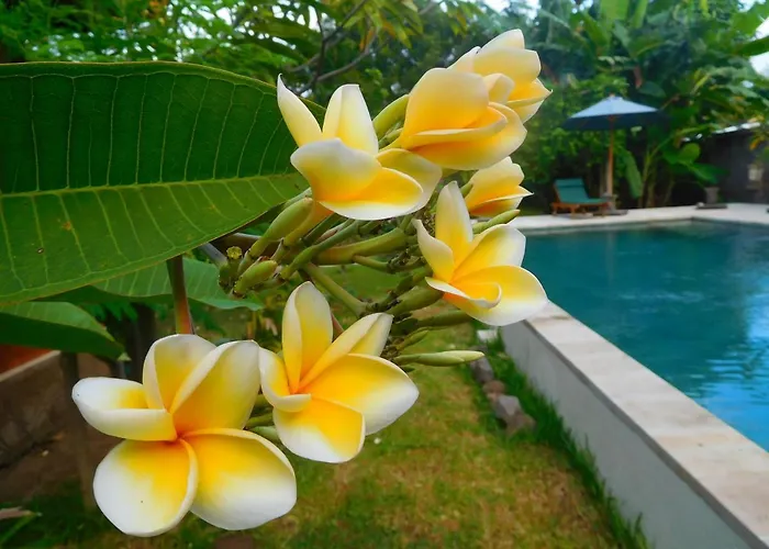 Tegal Sari, Pemuteran- North Bali Herberg 3*