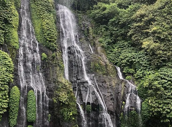 Tegal Sari, Pemuteran- North Bali Herberg 3*