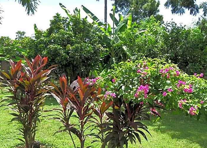 Tegal Sari, Pemuteran- North Bali Herberg 3*