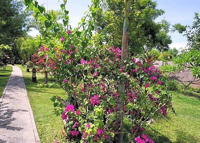 Tegal Sari, Pemuteran- North Bali Herberg