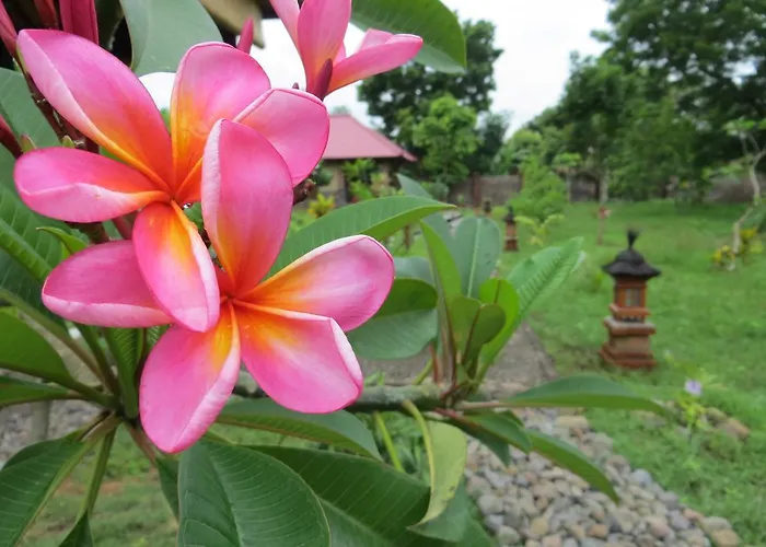 Tegal Sari, Pemuteran- North Bali Herberg