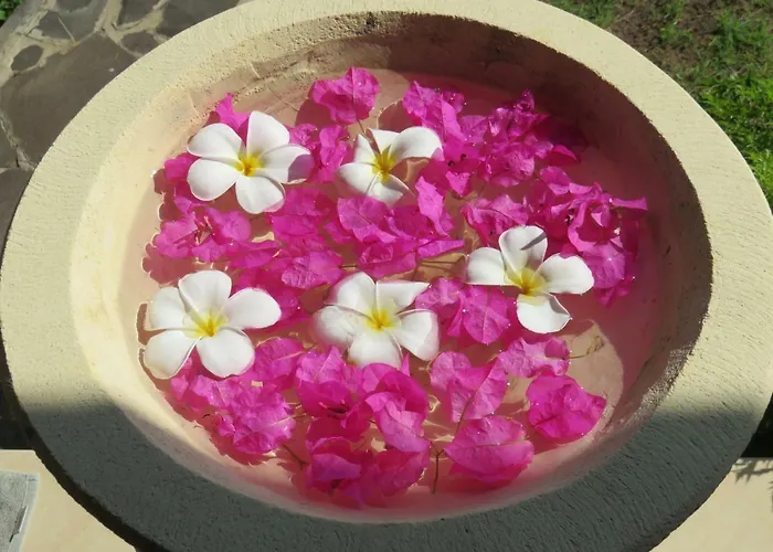 Tegal Sari, Pemuteran- North Bali Herberg 3*