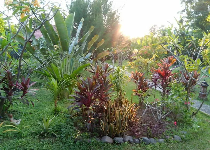 Herberg Tegal Sari, Pemuteran- North Bali