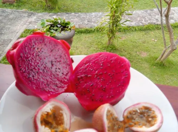 Herberg Tegal Sari, Pemuteran- North Bali Pemuteran