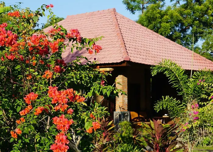 Tegal Sari, Pemuteran- North Bali Пемутеран