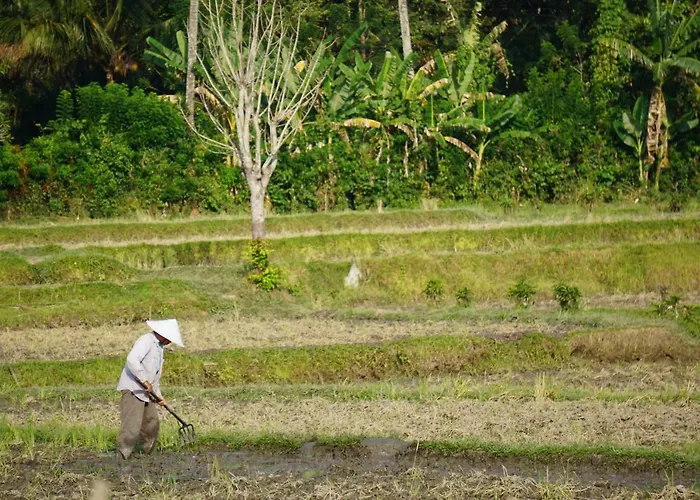 Мини-отель Tegal Sari, Pemuteran- North Bali