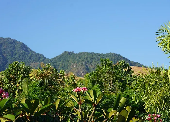 Мини-отель Tegal Sari, Pemuteran- North Bali 3*