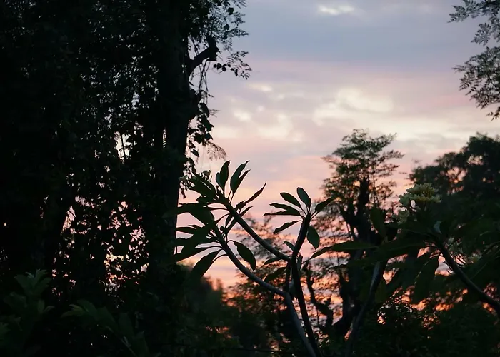 Tegal Sari, Pemuteran- North Bali