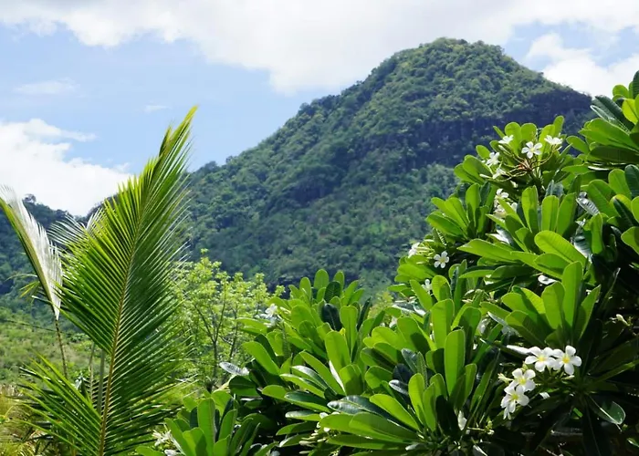 Tegal Sari, Pemuteran- North Bali Pemuteran